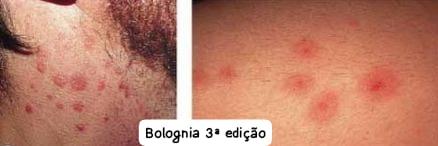 Diagnostic 3
