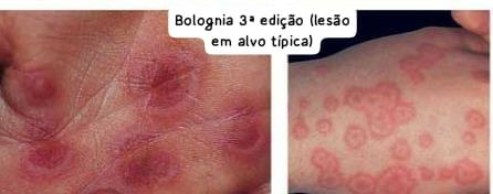 Diagnostic 4