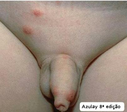 Presentation 1