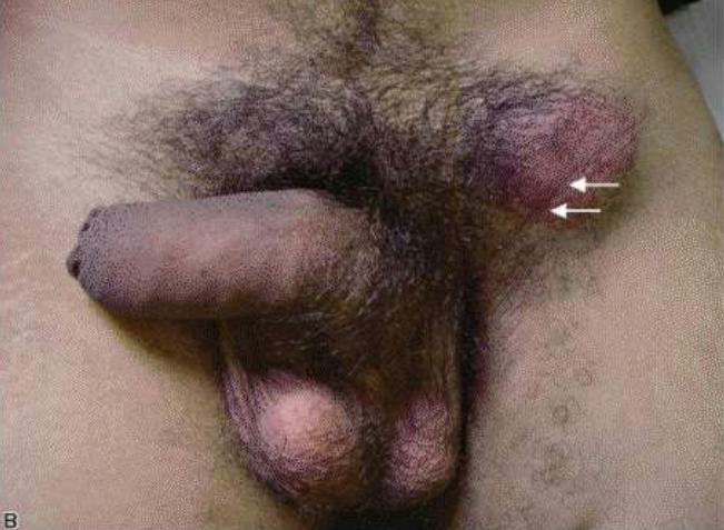 Presentation 2